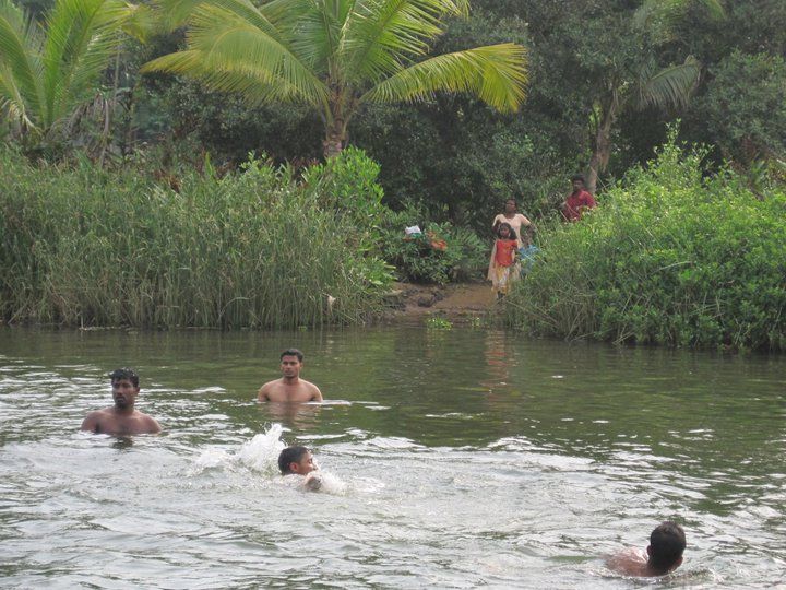 Alleppey Backwater Private Day Cruise From Cochin