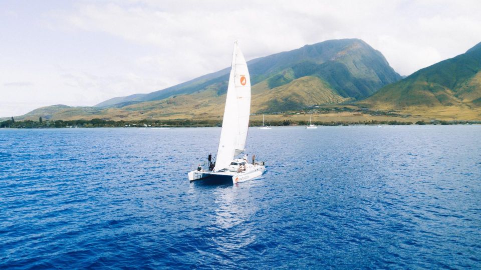 Lahaina: Sailboat Cruise With Snacks and Drinks - Common questions