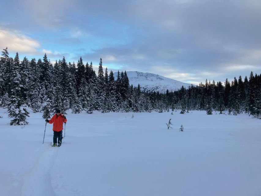 Guided Snowshoeing Adventure From Seward, Alaska - Common questions