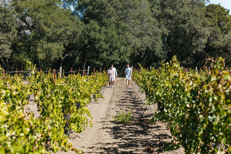 San Francisco: Half-Day Wine Country Excursion With Tastings - Sum Up