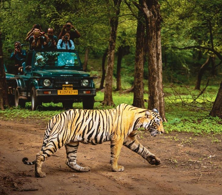 From Delhi: 5 Day Golden Triangle & Ranthambore Tiger Safari - Tour Overview
