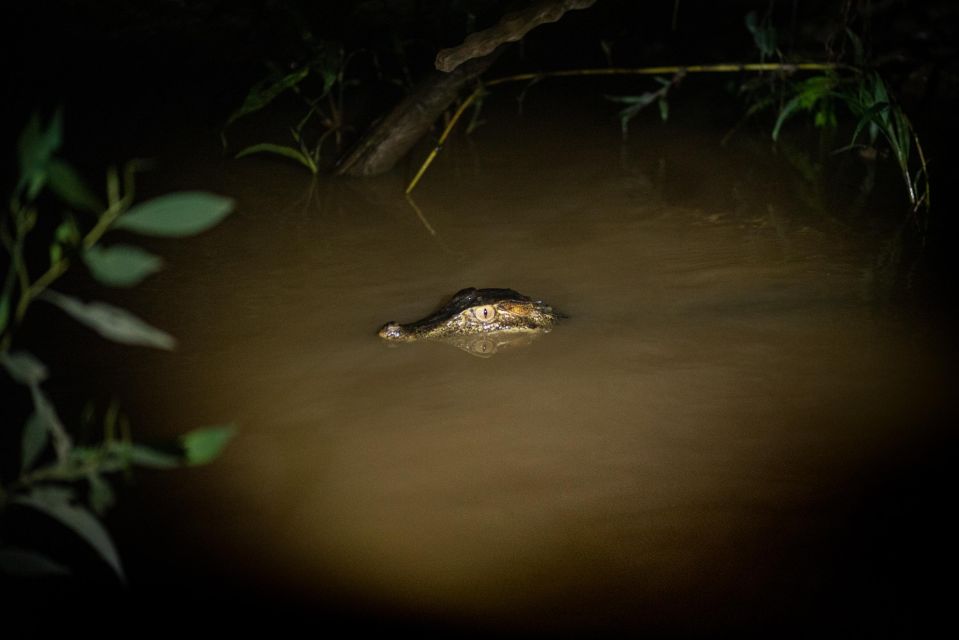 2 Day Tour in Tambopata Amazon