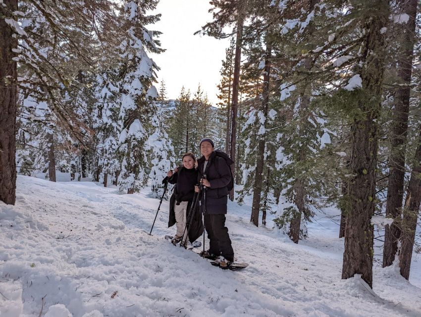 Beginner and Family Snowshoe Tour - Tour Details