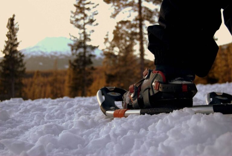 Bend: Half-Day Snowshoe Tour in the Cascade Mountain Range