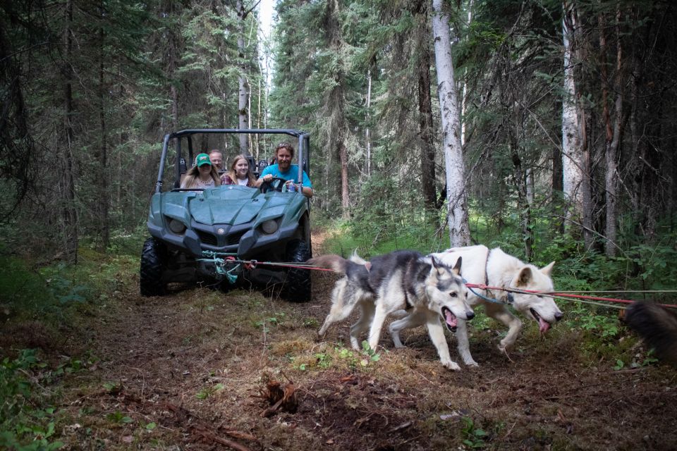 Fairbanks: Summer Mushing Cart Ride and Kennel Tour - Tour Details