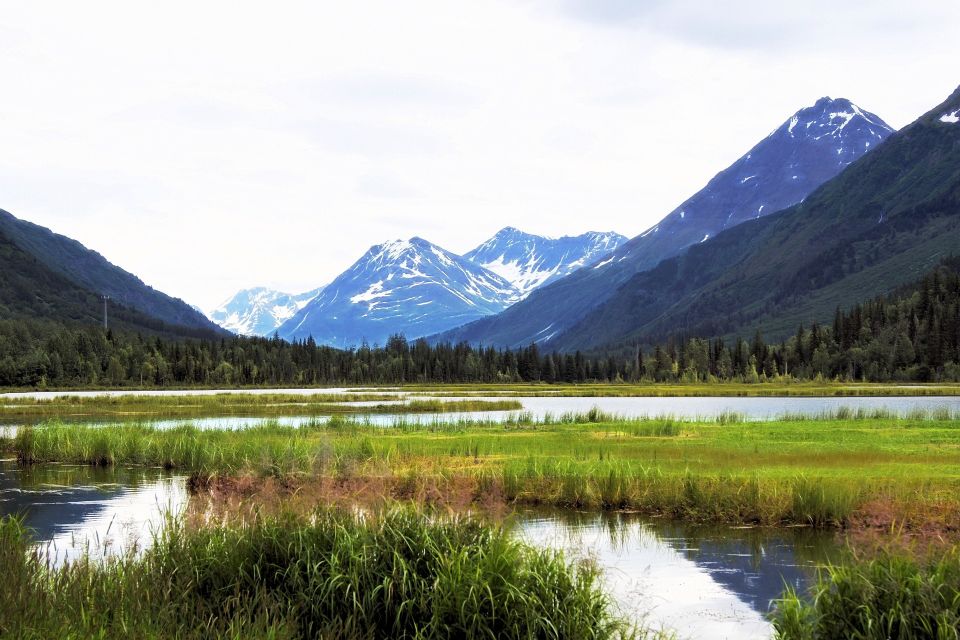 From Anchorage: Turnagain Arm and Wildlife Center Tour