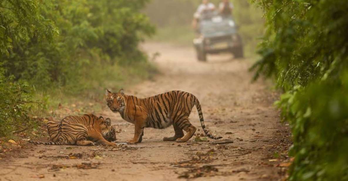 From Delhi: Golden Triangle & Ranthambore Tiger Safari 4 Day