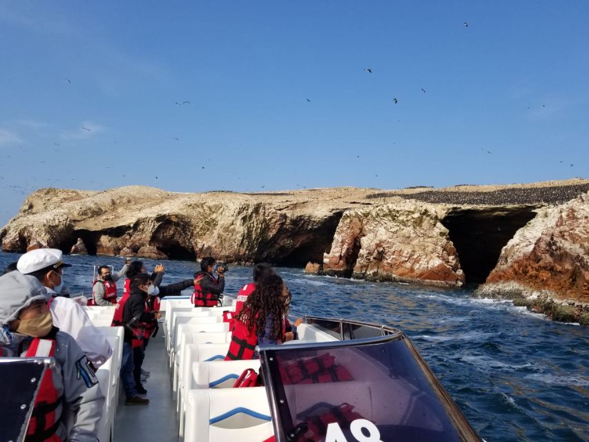 From Paracas or Pisco: Ballestas Islands Private Boat Trip - Trip Details