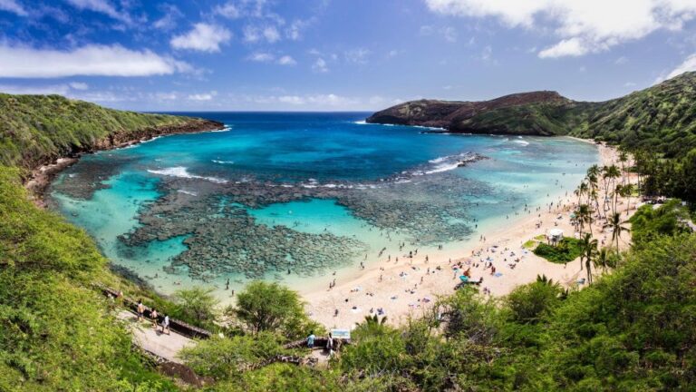 Honolulu: Hanauma Bay State Park Snorkeling Trip