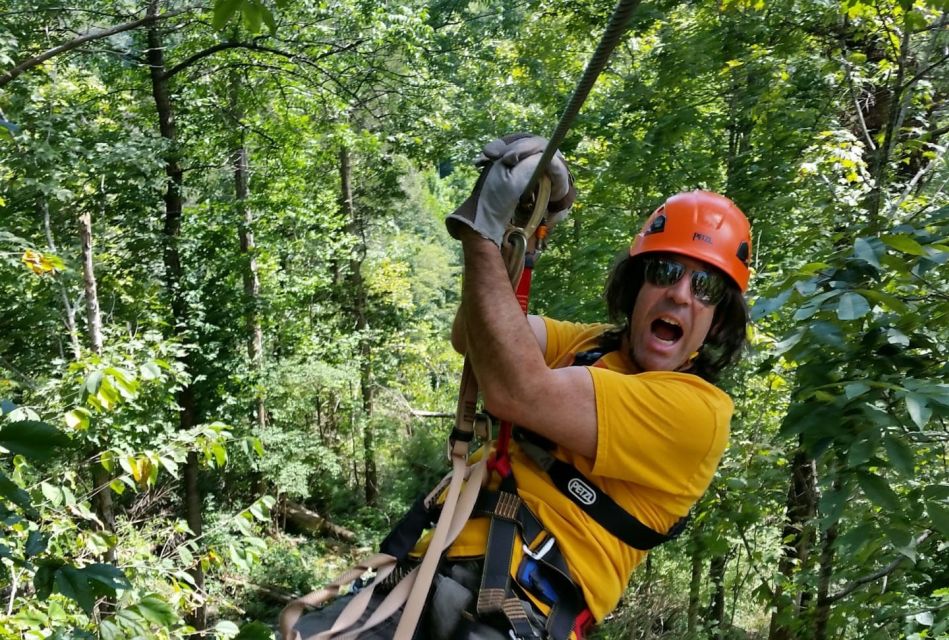 Lexington: Fully Guided Zipline Canopy Tour