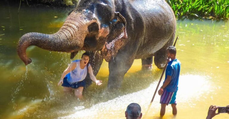 Luang Prabang Elepphant Keeper Bathe Option Kuangsi Tour