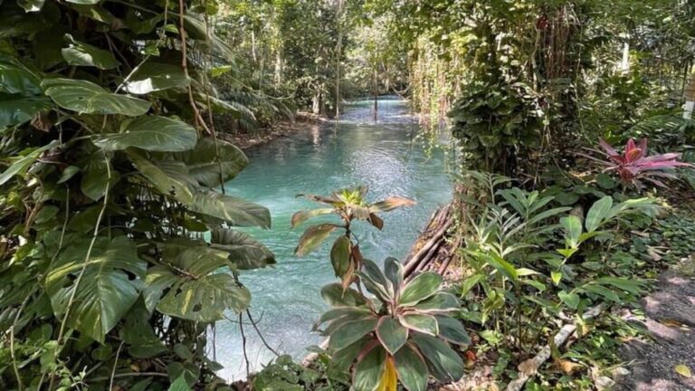 Martha Brae Bamboo Rafting Tour From Montego Bay