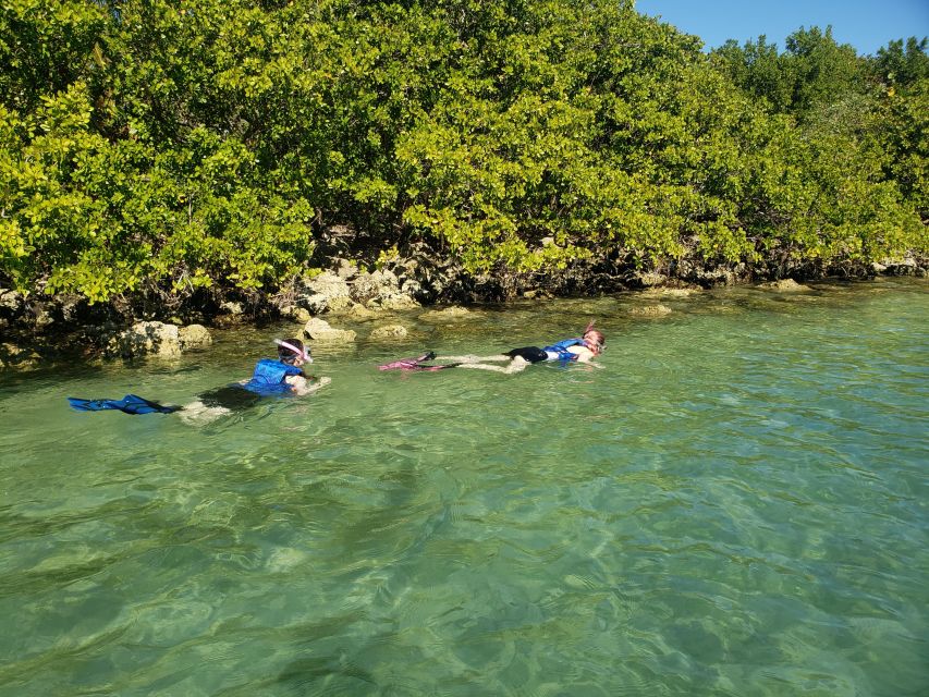 Miami: Beginner-Friendly Island Snorkeling by SUP or Kayak