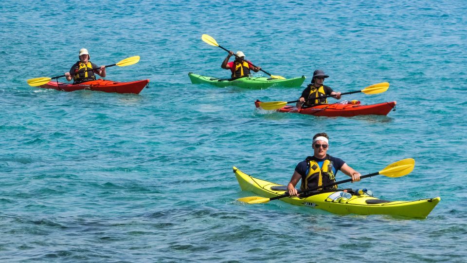 Miami: Biscayne Bay Aquatic Preserve Kayak Tour