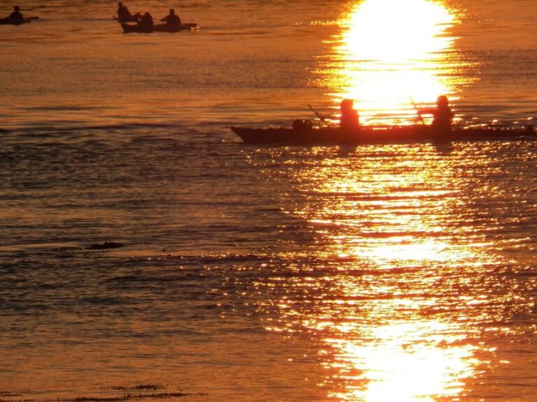 Miami: Sunset Biscayne Bay Aquatic Preserve Kayak Tour