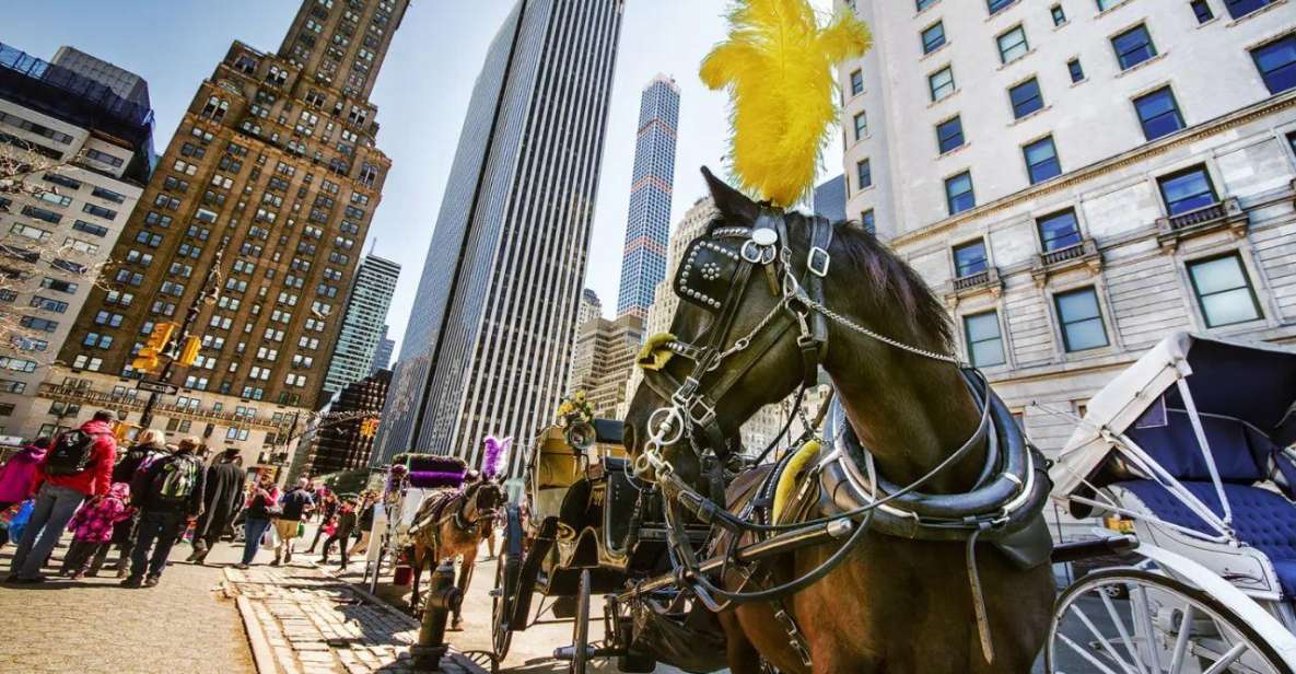 NYC:Guided Central Park Horse Carriage Ride