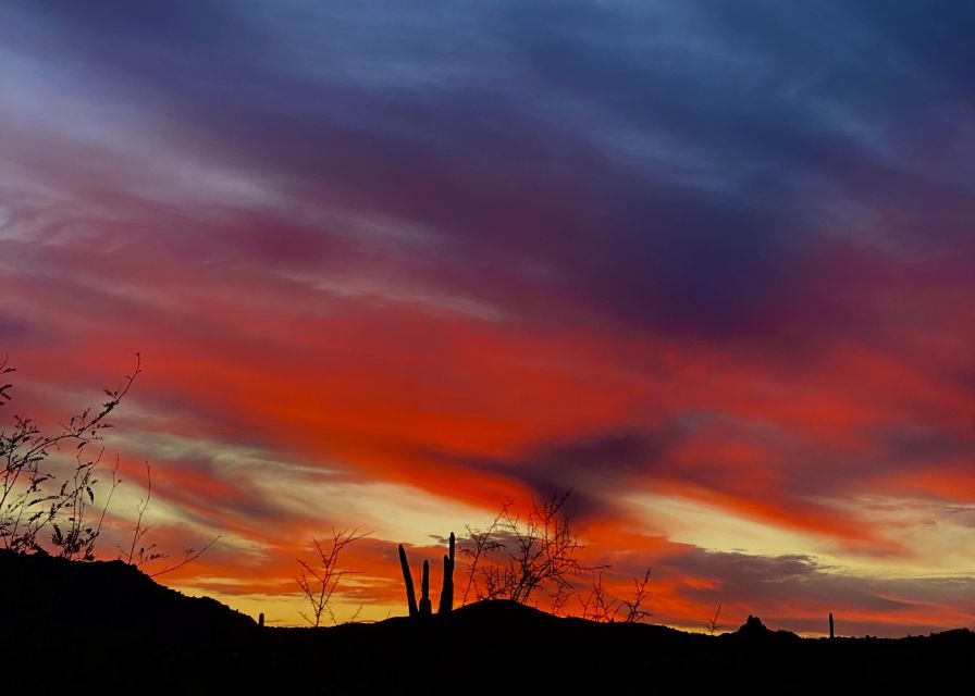 Phoenix: Sonoran Desert Guided Hiking Adventure