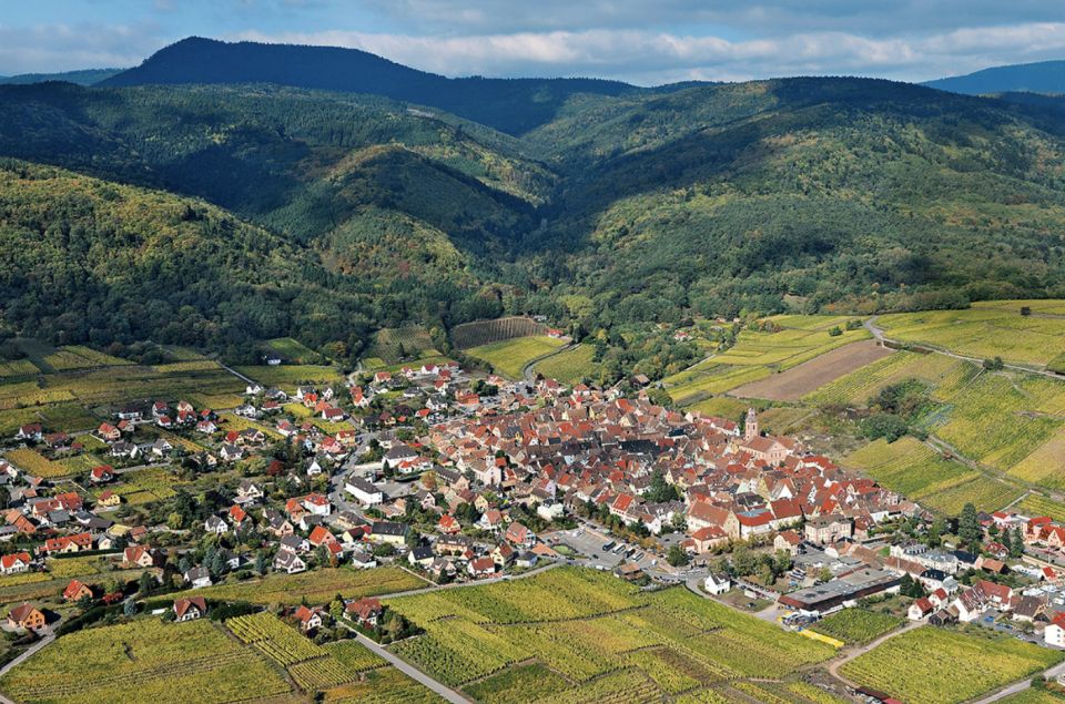 Riquewihr: Private Guided Walking Tour