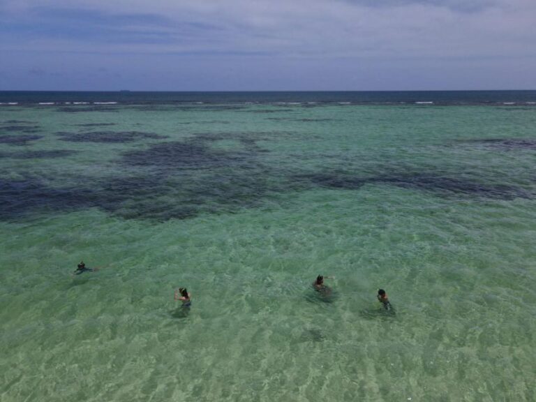 Saona Island: Beaches and Natural Pool Cruise With Lunch