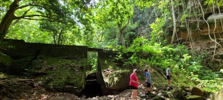 Scenic Rainforest Hike