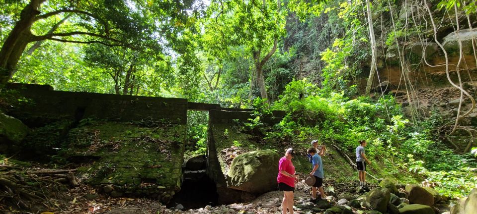 Scenic Rainforest Hike - Tour Overview