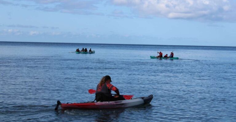 South Maui: Auau Channel Kayak and Snorkel Adventure