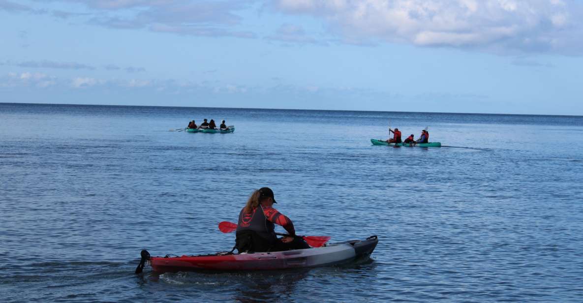 South Maui: Auau Channel Kayak and Snorkel Adventure - Activity Details