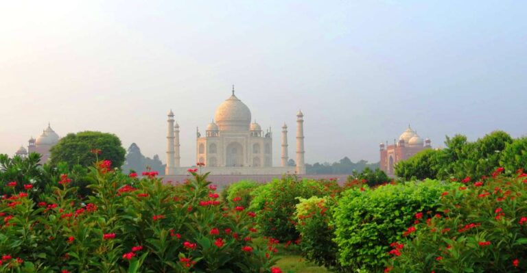 Taj Mahal Tour With Bharatpur Bird Sanctuary From Delhi