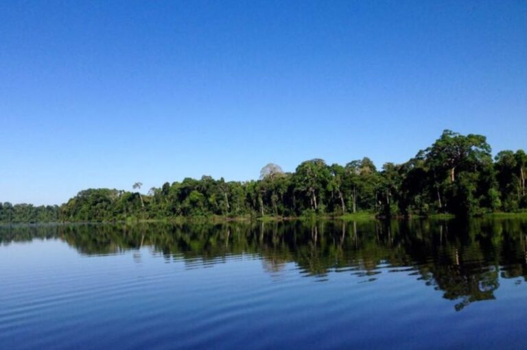 Tour to Tambopata: Amazon Adventure 3d/2n