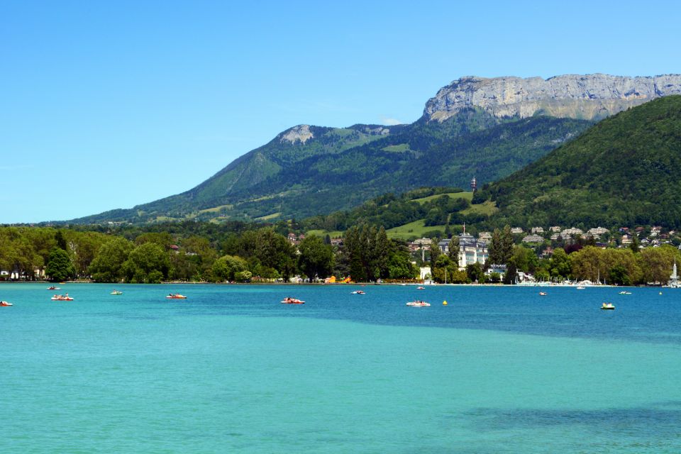 Annecy Private Guided Tour From Geneva - Activity Description