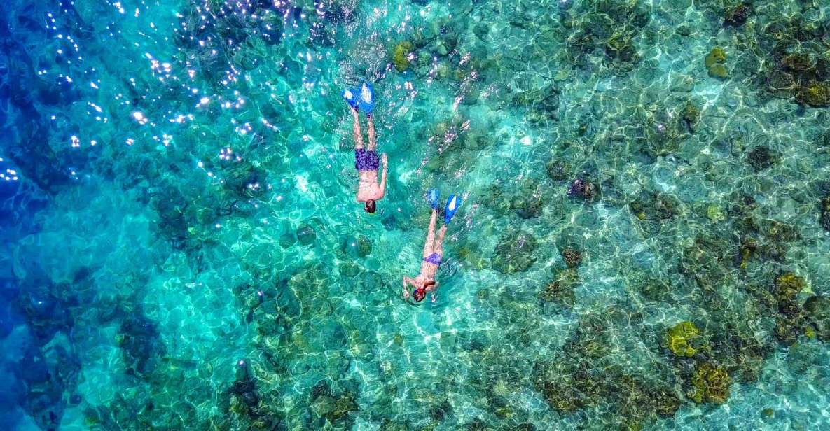 Bayahibe: Snorkeling Tour - Sea, Cotubanama Park & Cenotes - Pricing and Duration