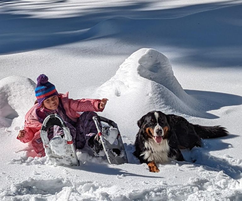 Beginner and Family Snowshoe Tour - Booking Information