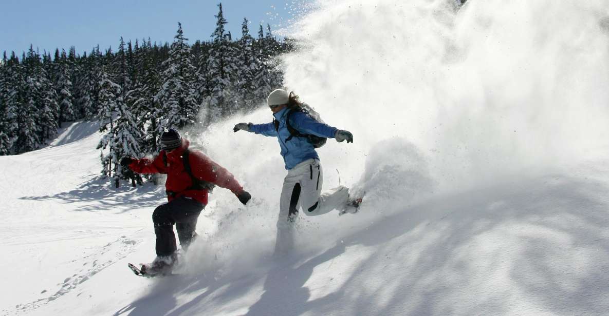 Bend: Half-Day Snowshoe Tour in the Cascade Mountain Range - Experience Description