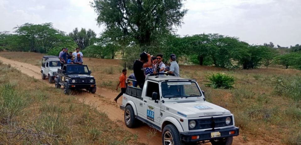 Desert Jeep Safari & Camel Safari Tour From Jodhpur - Booking Information