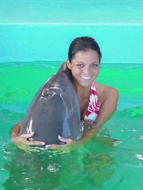 Dolphin Encounter at Ocean World, Puerto Plata - Ticket Details