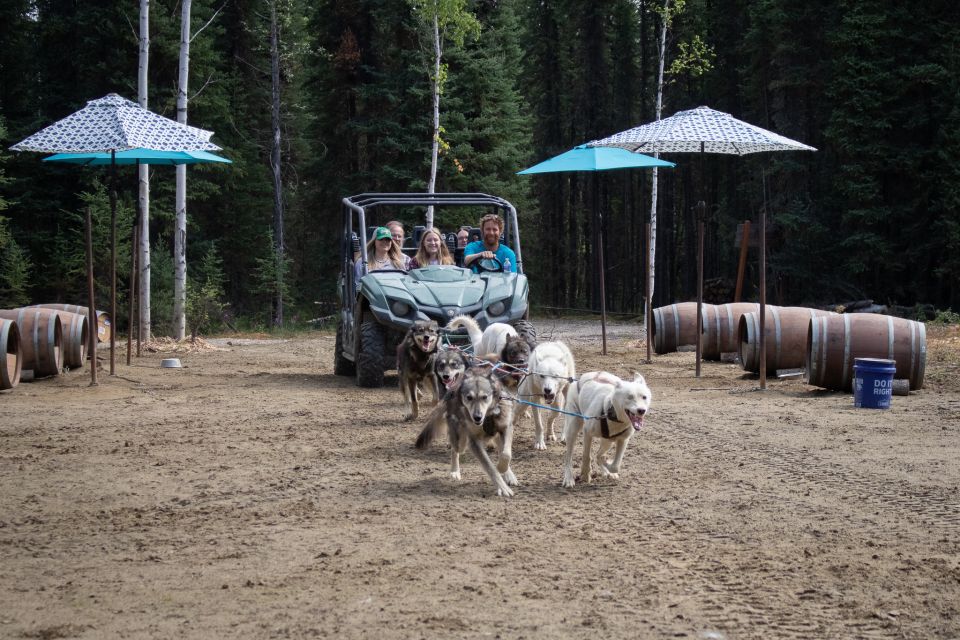 Fairbanks: Summer Mushing Cart Ride and Kennel Tour - Experience