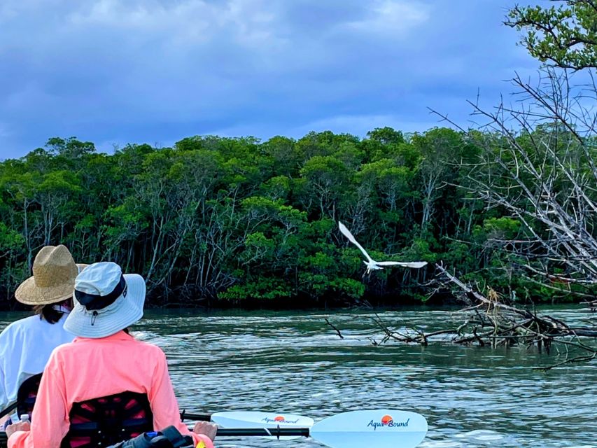 Fort Pierce: 8-Hr Jungle and Lagoon Passage to Ocean in FL - Group Size and Language