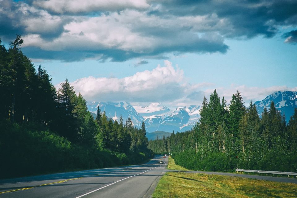 From Anchorage: Turnagain Arm and Wildlife Center Tour - Tour Highlights