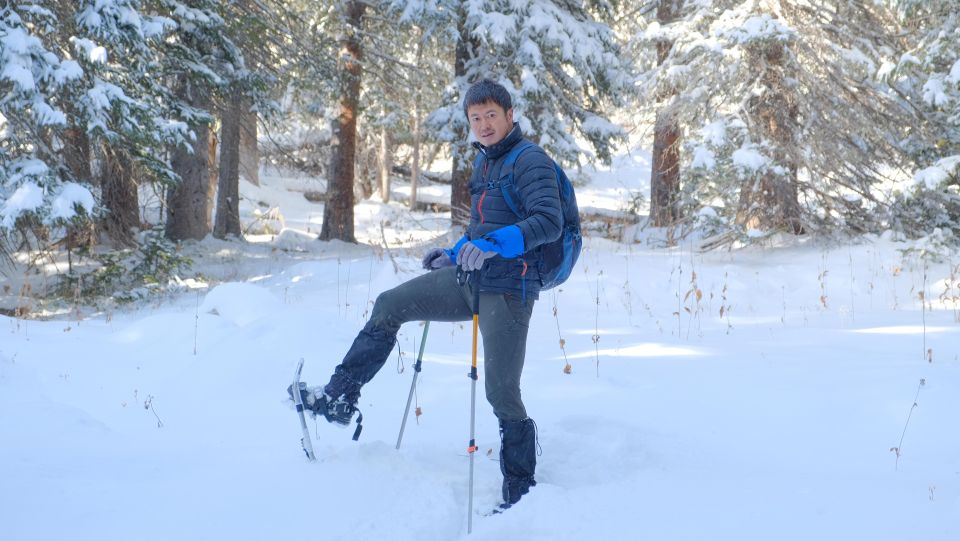 From Denver: Snowshoeing in Rocky Mountains - Activity Description