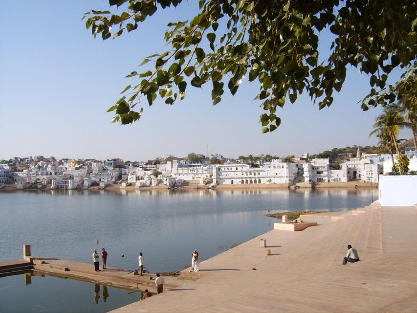 From Jaipur: 3 Days Jaipur Pushkar Tour - Itinerary Highlights