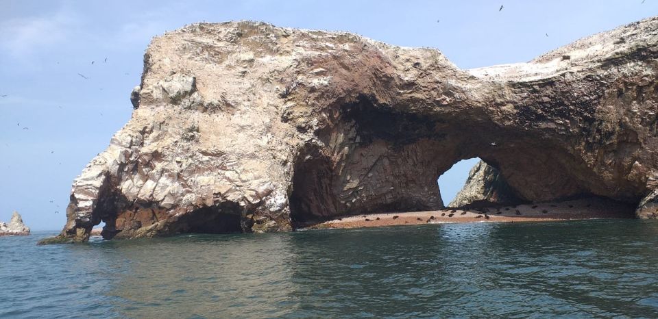 From Paracas or Pisco: Ballestas Islands Private Boat Trip - Activity Description