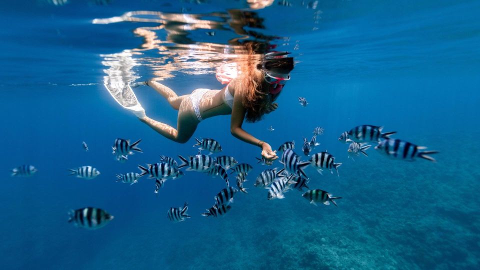 Honolulu: Hanauma Bay State Park Snorkeling Trip - Booking Information