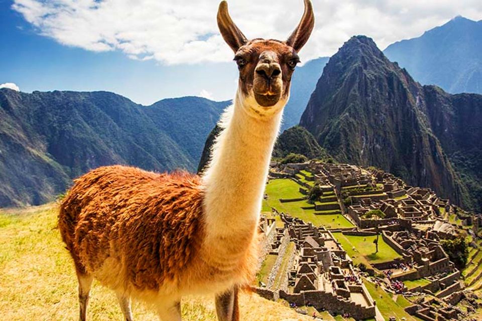 Machu Picchu + Huayna Picchu Mountain | Private Tour | - Itinerary