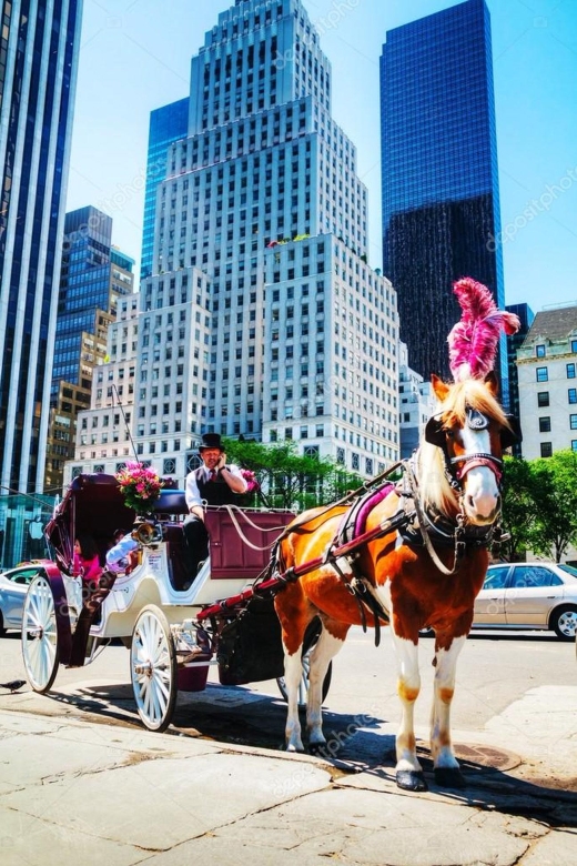 NYC:Guided Central Park Horse Carriage Ride - Booking Details