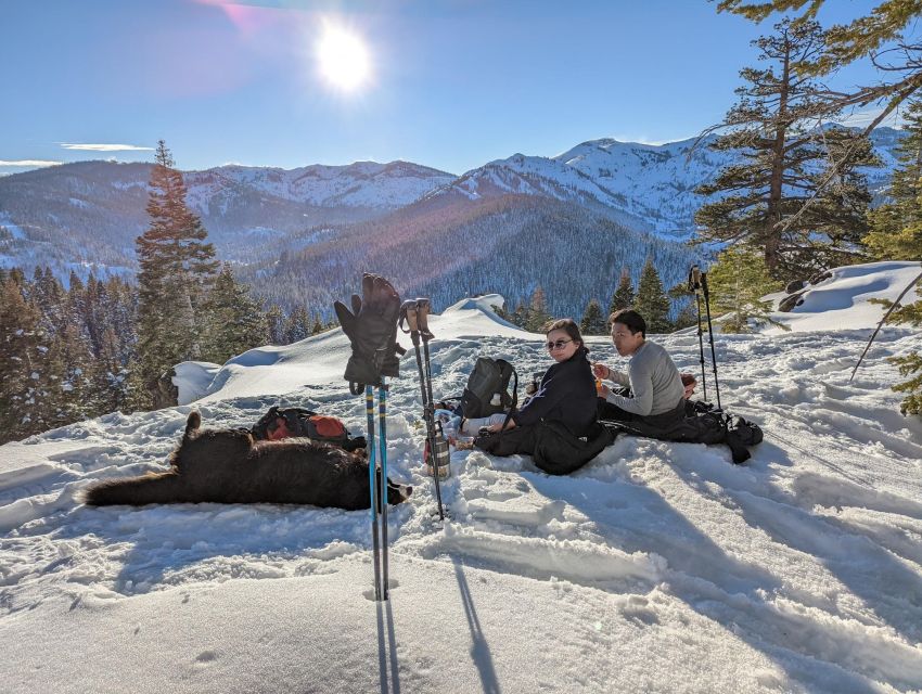 Beginner and Family Snowshoe Tour - Experience Description