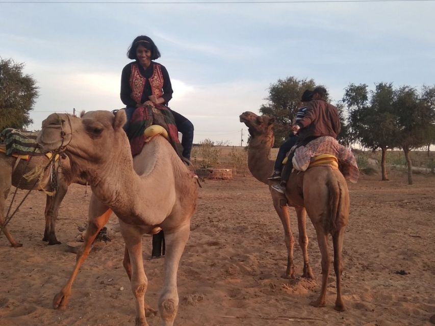 Desert Jeep Safari & Camel Safari Tour From Jodhpur - Itinerary