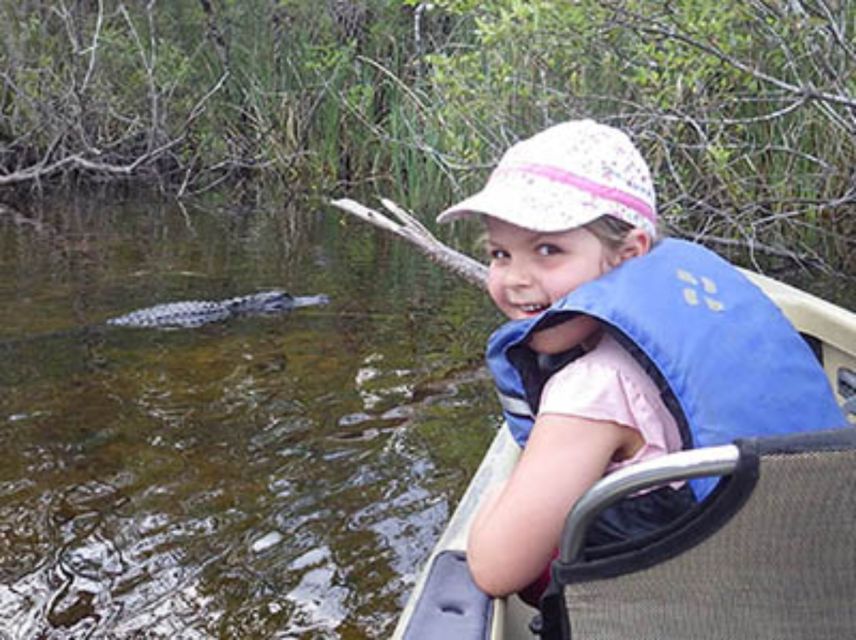 Everglades: Everglades Alligators and Orchids Kayak Eco Tour - Customer Reviews