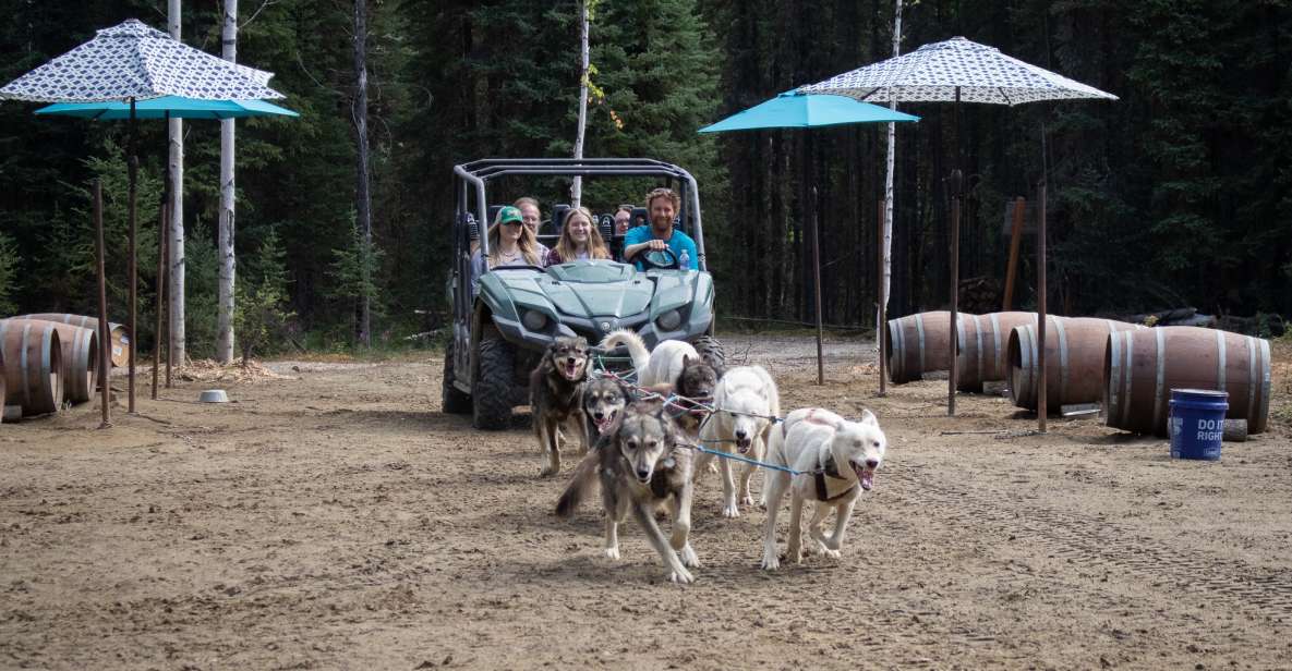 Fairbanks: Summer Mushing Cart Ride and Kennel Tour - Meeting Point