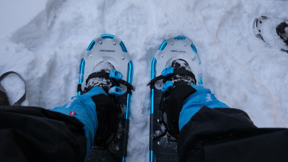 From Denver: Snowshoeing in Rocky Mountains - Guide Information