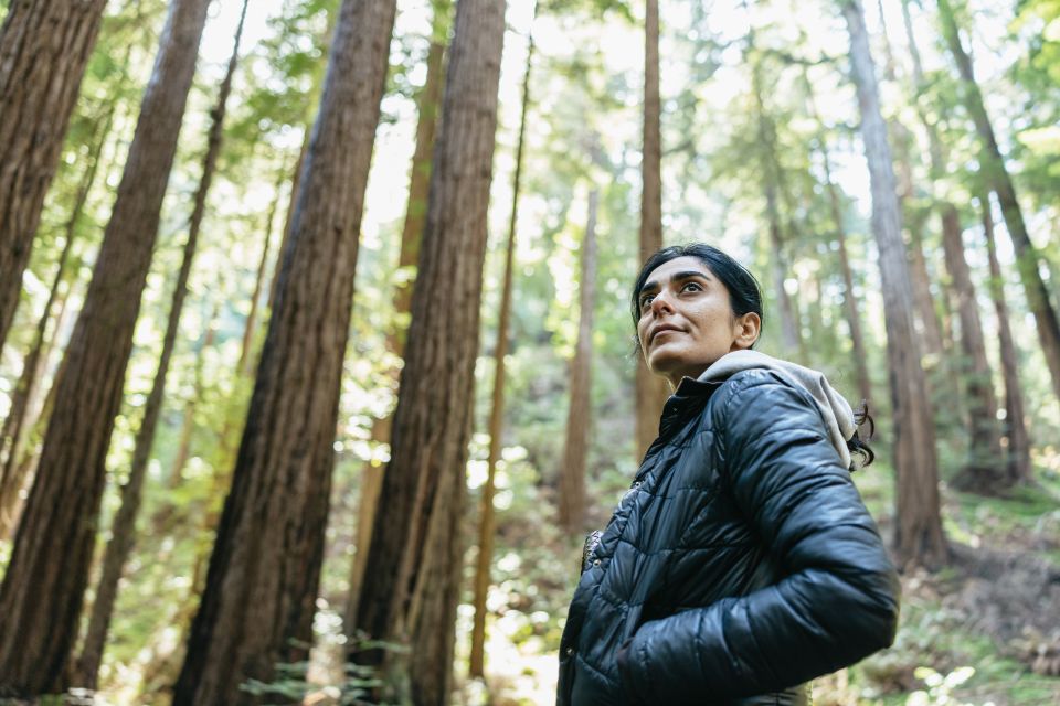 From San Francisco: Muir Woods National Monument Guided Tour - Experience